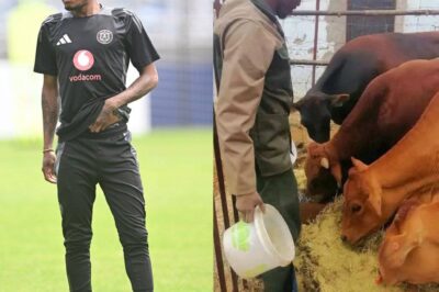 Shock! Monnapule Saleng retired from his football career to return to his hometown to work as a cowherd, so there’s a reason