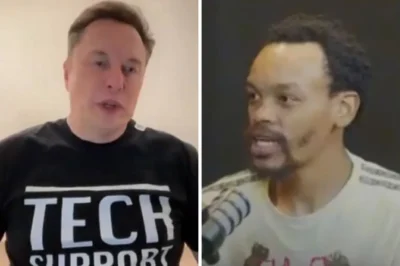 Elon Musk reacts to clip calling white South Africans ‘dogs’