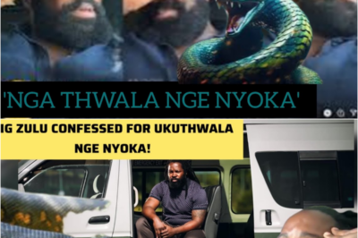 Big Zulu confesses to joining a cult and sleeping with a snake every night after feeding it three‼️