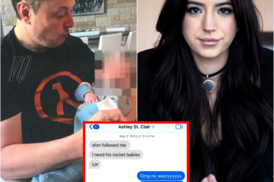 Elon Musk breaks silence on claims influencer Ashley St. Clair plotted to have his child in new messages