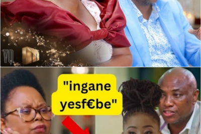 Mayeni Mseleku and Mpilo Mseleku’s fight started before she was born