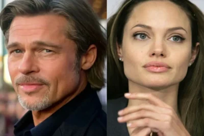 Angelina Jolie struggled to trust men after Brad Pitt split